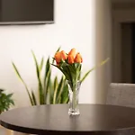 Maison Maneli 4* Rom