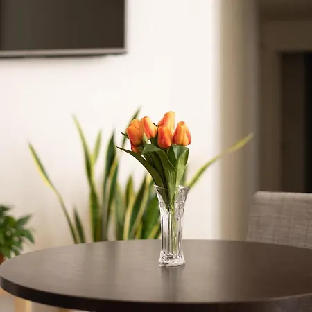 Maison Maneli 4* ローマ