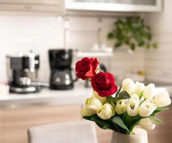 Penzion Maison Maneli 4*